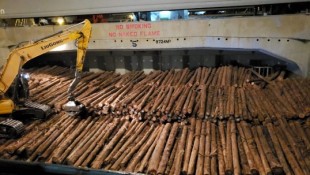 Wood logs export